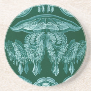 Vintage Haeckel Coaster