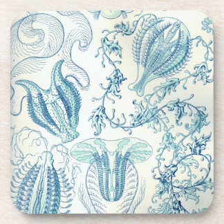 Vintage Haeckel Coaster