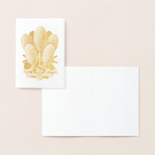 Vintage Haeckel Foil Card