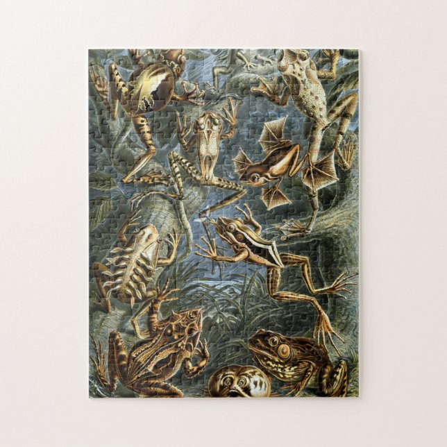 Vintage Haeckel Frogs and Toads Jigsaw Puzzle (Vertical)