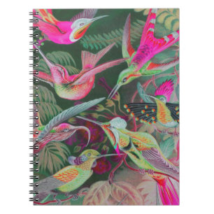 Vintage Haeckel Hummingbirds Spiral Notebook
