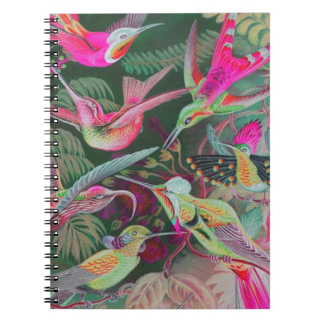 Vintage Haeckel Hummingbirds Spiral Notebook (Front)