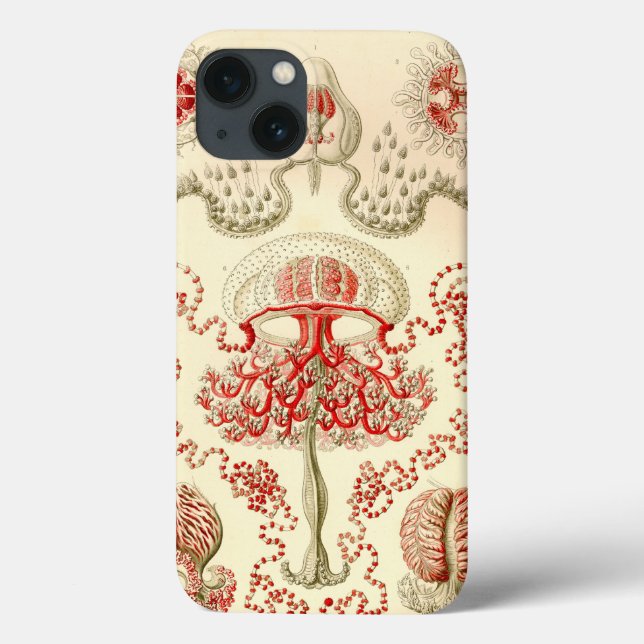Vintage Haeckel Jellyfish Case-Mate iPhone Case (Back)