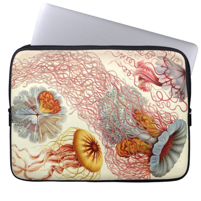 Vintage Haeckel Jellyfish Laptop Sleeve (Front)