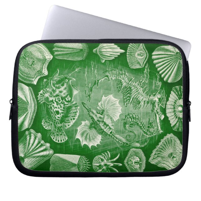 Vintage Haeckel Laptop Sleeve (Front)