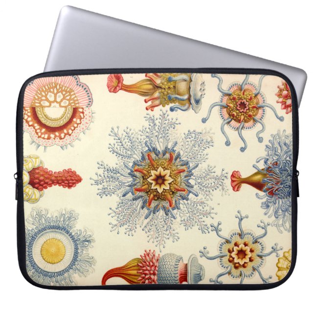 Vintage Haeckel Laptop Sleeve (Front)