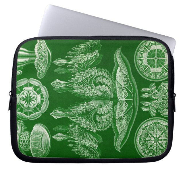 Vintage Haeckel Laptop Sleeve (Front)