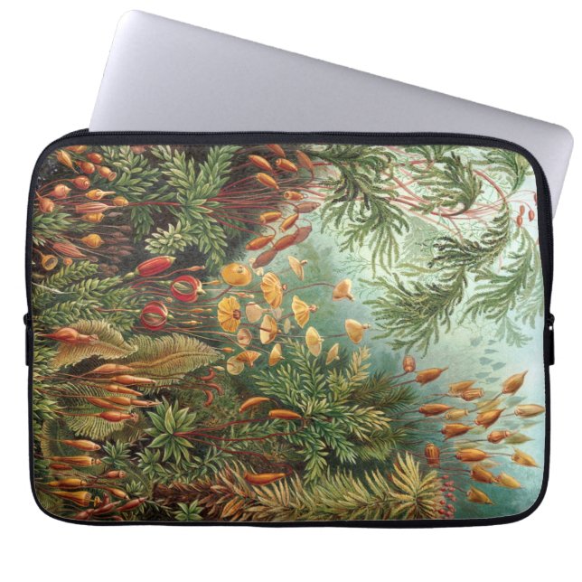 Vintage Haeckel Laptop Sleeve (Front)
