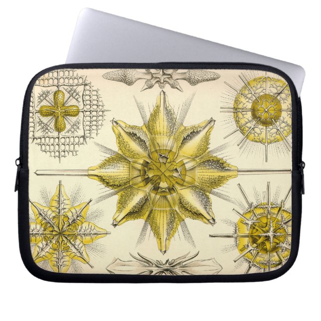 Vintage Haeckel Laptop Sleeve (Front)