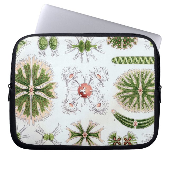 Vintage Haeckel Laptop Sleeve (Front)