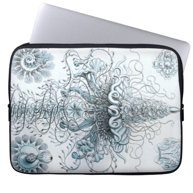 Vintage Haeckel Laptop Sleeve (Front)