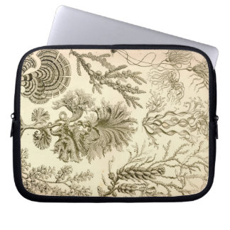 Vintage Haeckel Laptop Sleeve