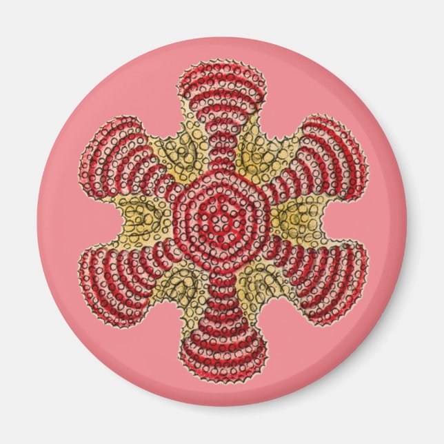 Vintage Haeckel Magnet (Front)