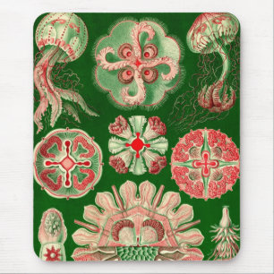 Vintage Haeckel Mouse Pad