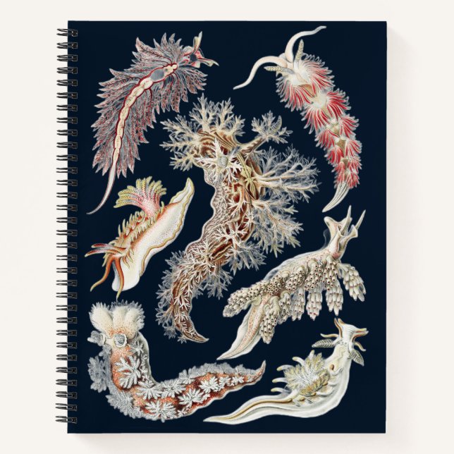 Vintage Haeckel Nudibranch Ocean Art Notebook (Front)