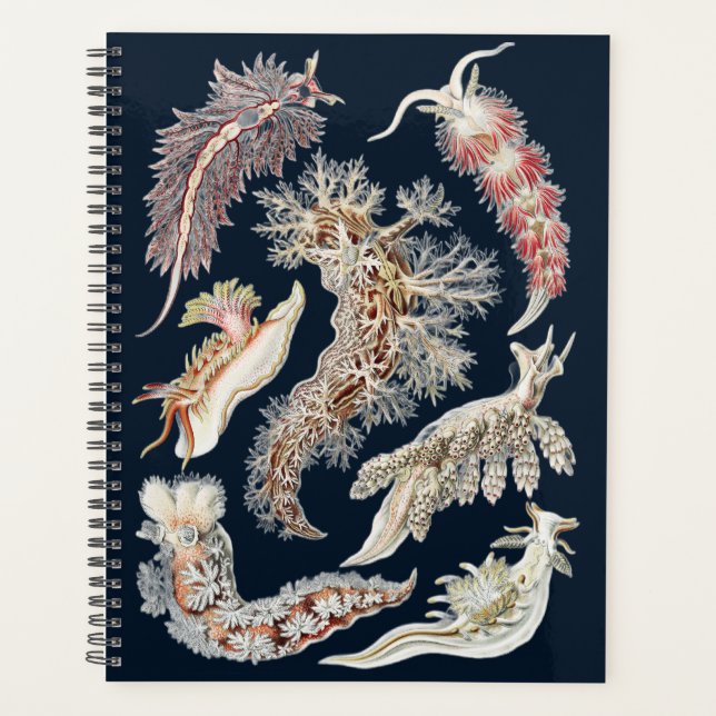Vintage Haeckel Nudibranch Ocean Art Planner (Front)