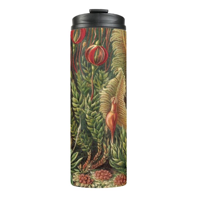 Vintage Haeckel Plant Life Thermal Tumbler (Front)