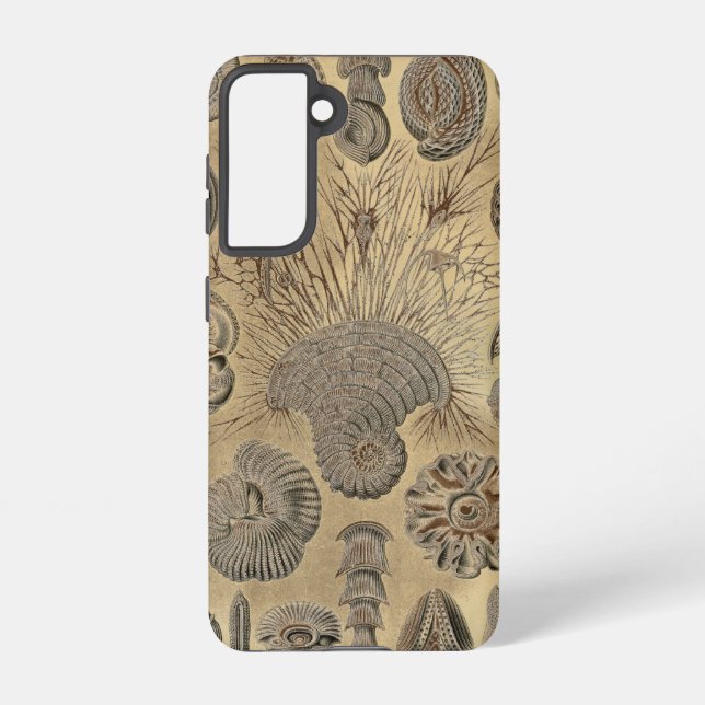 Vintage Haeckel Samsung Galaxy S21 Case (Back)