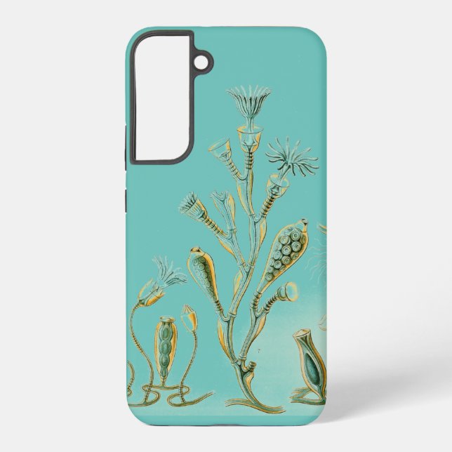 Vintage Haeckel Samsung Galaxy S22+ Case (Back)