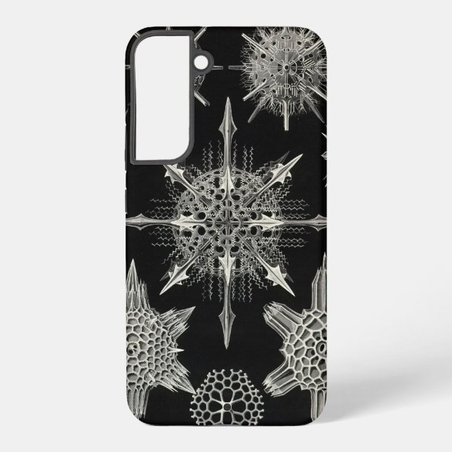 Vintage Haeckel Samsung Galaxy S22+ Case (Back)