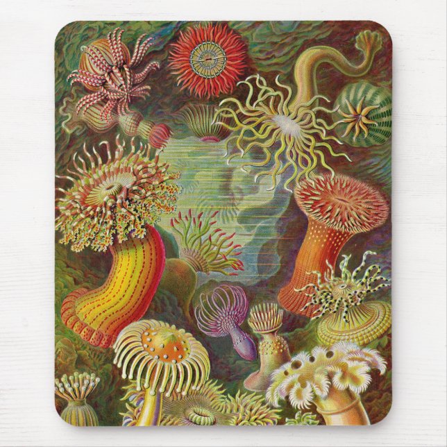 Vintage Haeckel Sea Anemone Mouse Pad (Front)