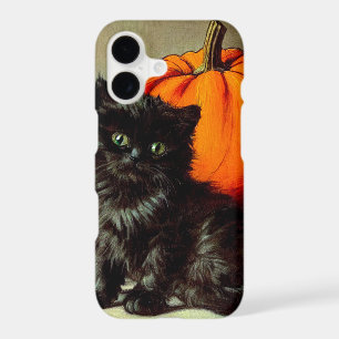 Vintage Halloween Black Cat and Pumpkins