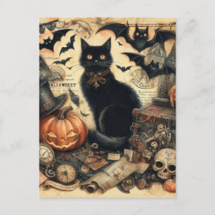 Vintage Halloween Black Cat Holiday  Postcard