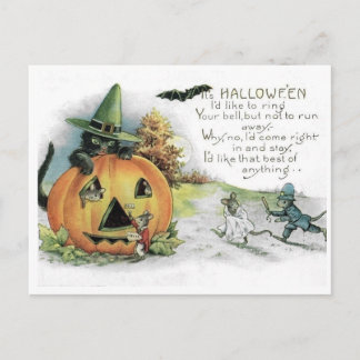 Vintage Halloween Black Cat Mice Mouse Postcard