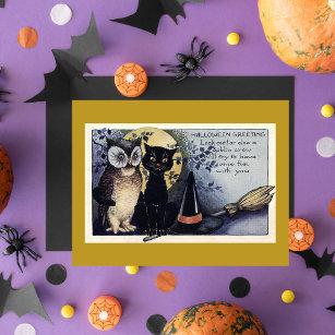 Vintage Halloween Black Cat & Owl Witch Hat Moon Postcard