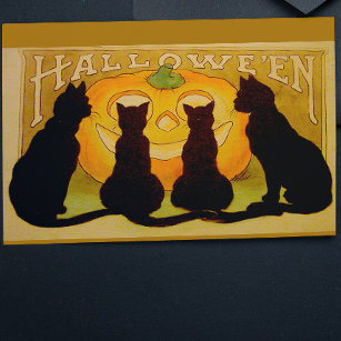Vintage Halloween Black Cats and Jack O'Lantern Postcard