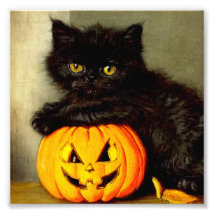Vintage Halloween Cat and Jack-o’-lantern Photo Print