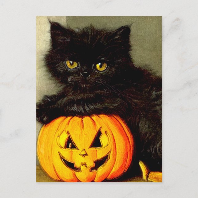 Vintage Halloween Cat and Jack-o’-lantern Postcard (Front)