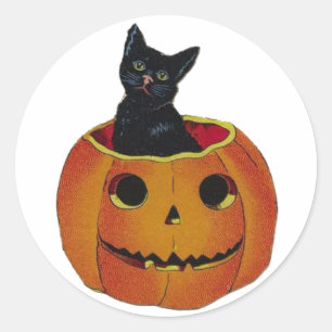 Vintage Halloween Cat In Pumpkin Classic Round Sticker