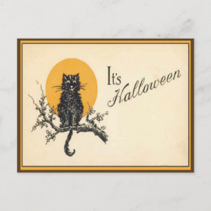 Vintage Halloween Cat Postcard