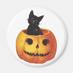 Vintage Halloween, Cute Black Cat in a Pumpkin Magnet