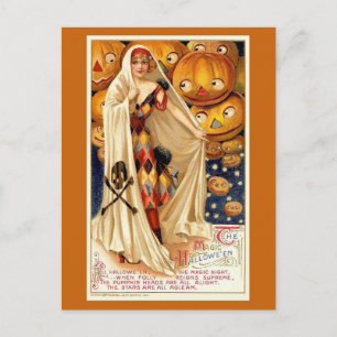 Vintage Halloween Funny Illustration Postcard