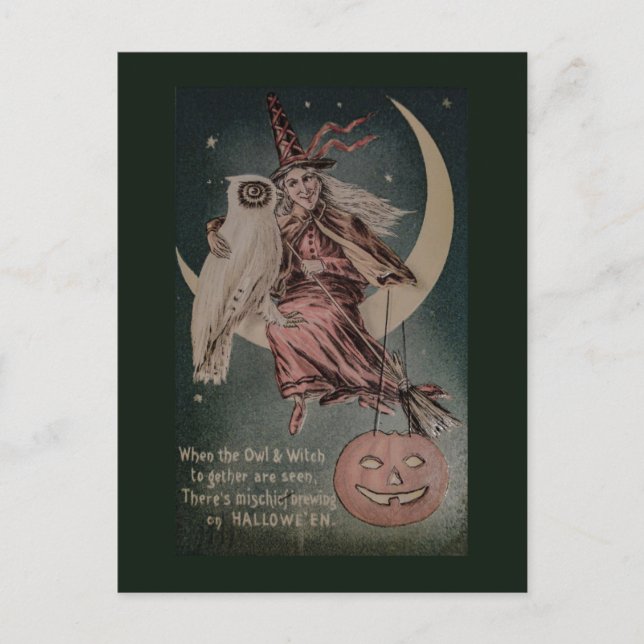 Vintage Halloween Funny owl illustration Postcard (Front)