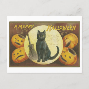 Vintage Halloween Greetings with Black Cat Postcard