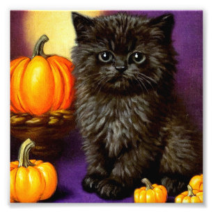 Vintage Halloween Kitten Photo Print