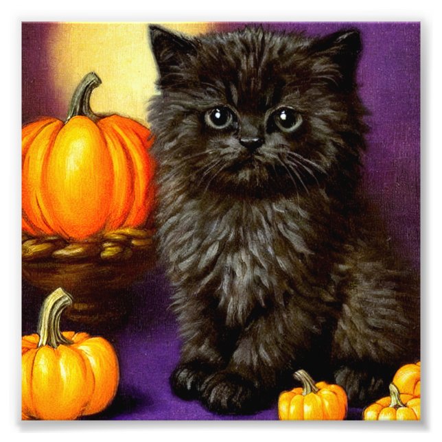 Vintage Halloween Kitten Photo Print (Front)