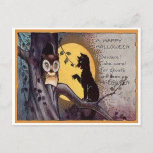Vintage Halloween Owl & Cat Postcard