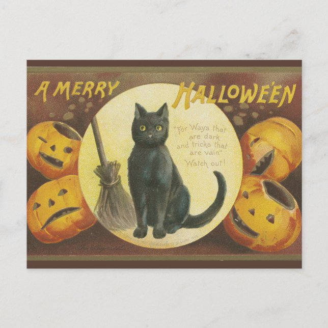 Vintage Halloween postcard with pumpkins and cat (Front)