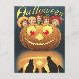 Vintage Halloween Pumpkin, Children and Black Cats Postcard