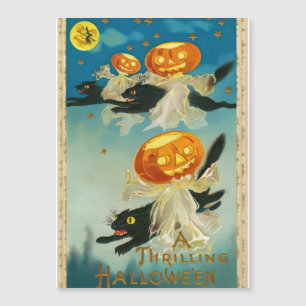 Vintage Halloween Pumpkin Ghosts and Black Cats Magnetic Invitation