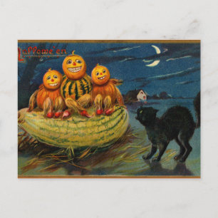 Vintage Halloween Pumpkins Black Cat Postcard