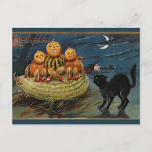 Vintage Halloween Pumpkins Black Cat Postcard