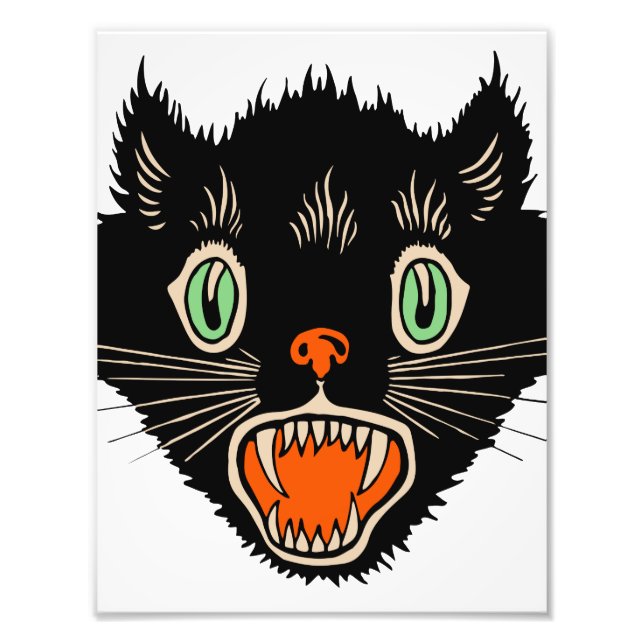 Vintage Halloween Scared Black Cat Photo Print (Front)