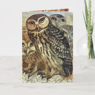 Vintage Halloween Three Owls Card