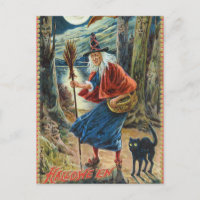 Vintage Halloween witch black cat postcard