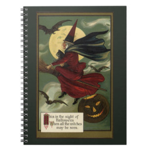 Vintage Halloween Witch Riding a Broom with Cat Spiral Notebook